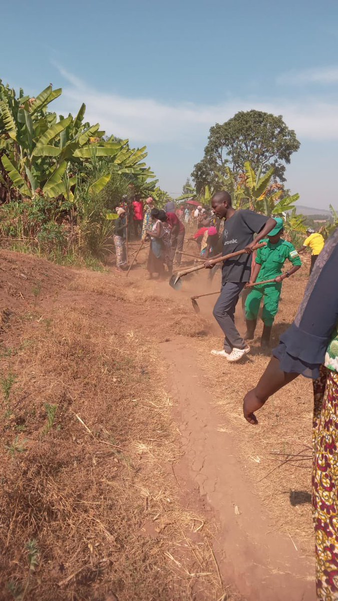 SHYOGWE Sector tweet media