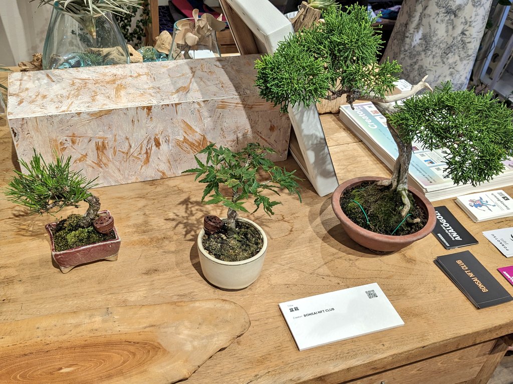 BONSAI 出展終！！😤

お越しくださった方、そして本日出会った皆さんありがとうございました🌳🙏✨

そしてbaraは数年ぶりのフットサルに向かいます〜⚽💨

#隼RealArtGallery2023