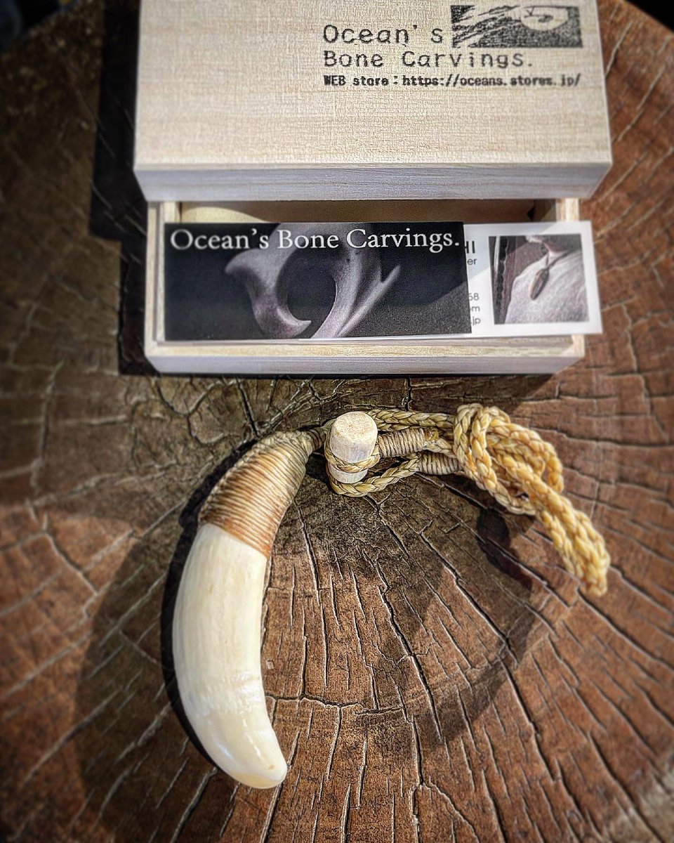 paisei's tweet photo. Whale tooth necklace ✨
マッコウクジラ歯ネックレス✨
In store now!
https://t.co/i3BuQnS1Sp
#bonecarving #whalebone #spermwhalebone #spermwhale #bonehook #鯨歯 #鯨 #ボーンカービング #マッコウクジラ #マッコウクジラ歯 #オーシャンズボーンカービングス https://t.co/WWuhqTLyOn