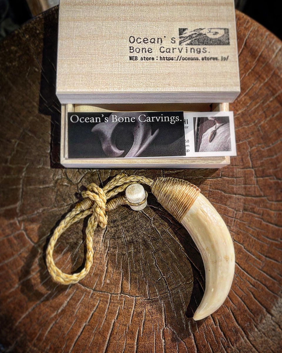 paisei's tweet photo. Whale tooth necklace ✨
マッコウクジラ歯ネックレス✨
In store now!
https://t.co/i3BuQnS1Sp
#bonecarving #whalebone #spermwhalebone #spermwhale #bonehook #鯨歯 #鯨 #ボーンカービング #マッコウクジラ #マッコウクジラ歯 #オーシャンズボーンカービングス https://t.co/WWuhqTLyOn