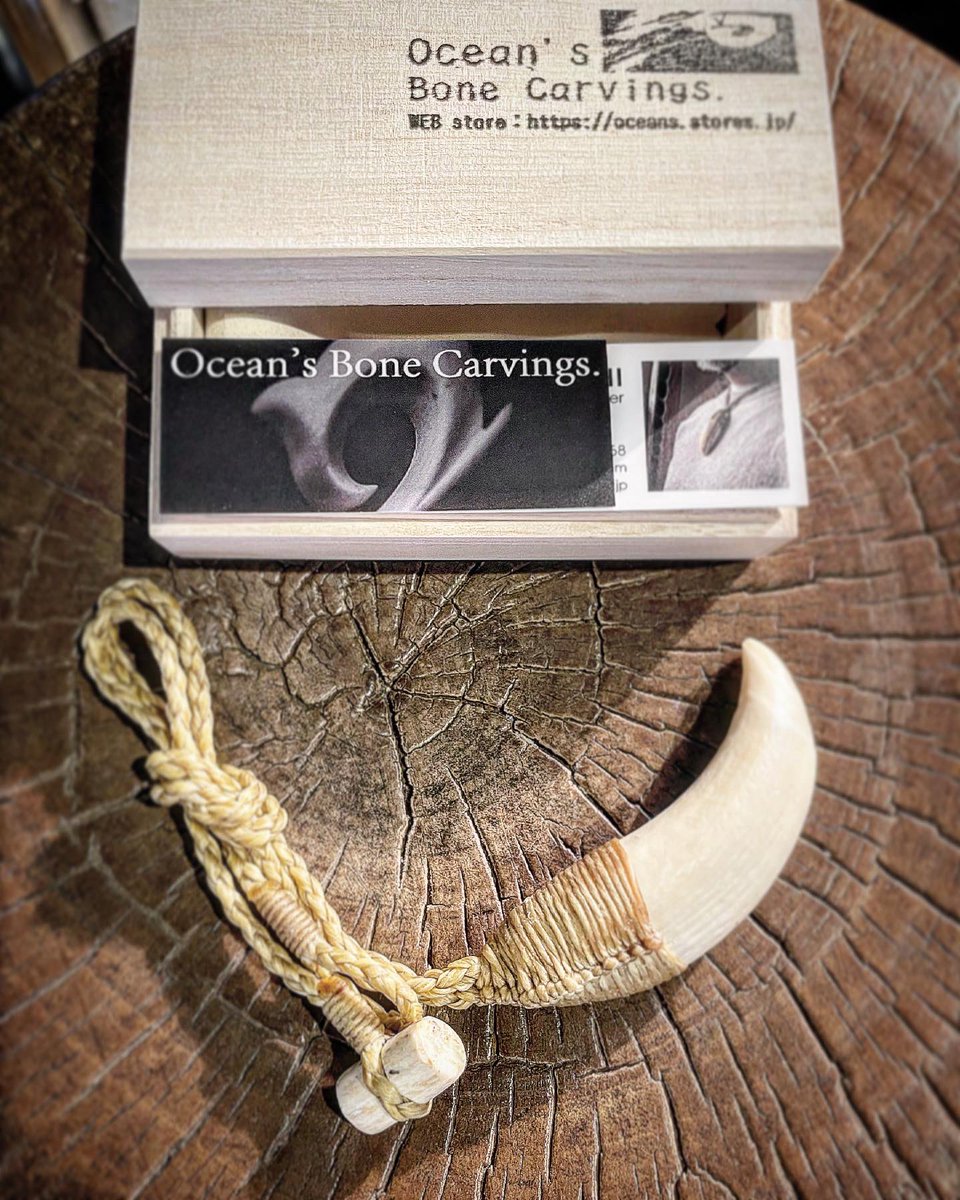 paisei's tweet photo. Whale tooth necklace ✨
マッコウクジラ歯ネックレス✨
In store now!
https://t.co/i3BuQnS1Sp
#bonecarving #whalebone #spermwhalebone #spermwhale #bonehook #鯨歯 #鯨 #ボーンカービング #マッコウクジラ #マッコウクジラ歯 #オーシャンズボーンカービングス https://t.co/WWuhqTLyOn