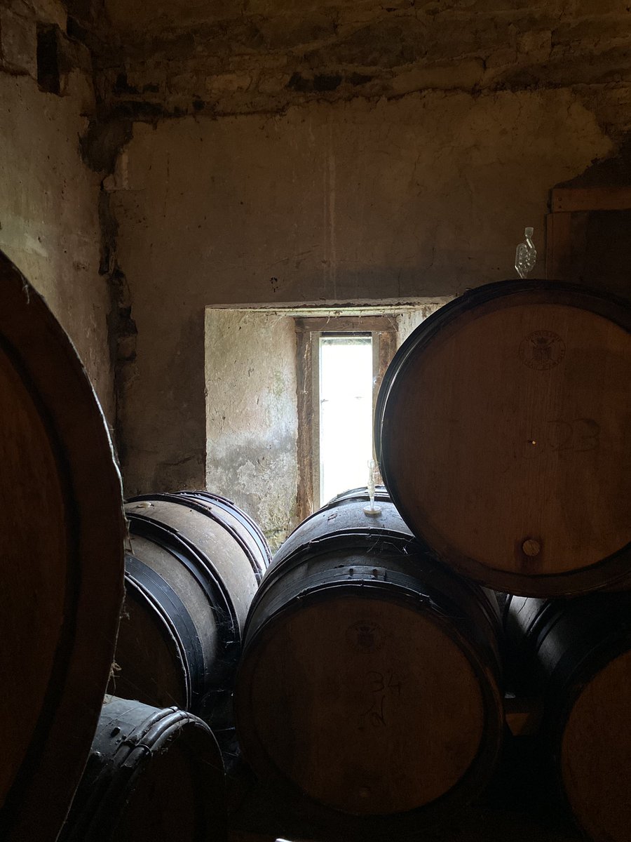 Yesterday we visited Maurice Deasy in our home county of Tipperary. Brewer &amp; Owner of single source Brewery @canvas_brewery 
Maurice is also a Farmer, a Researcher for Teagasc, and a Maltster with a passion for Irish Heritage Grains &amp; Conservation Agriculture. Full story in pic1