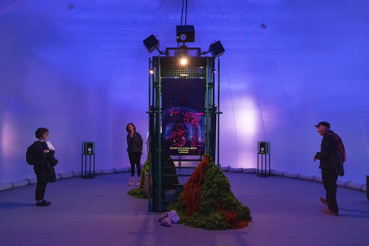 Digital Impact tweet media