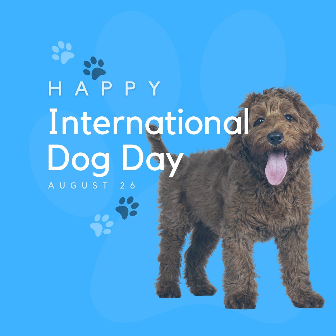 TrustedPups's tweet photo. 🐾 Celebrating our global pack on International Dog Day 2023! 🌍🐶 

#PawsAroundTheWorld #InternationalDogDay
#InternationalDogDay2023 https://t.co/GNe61scayz