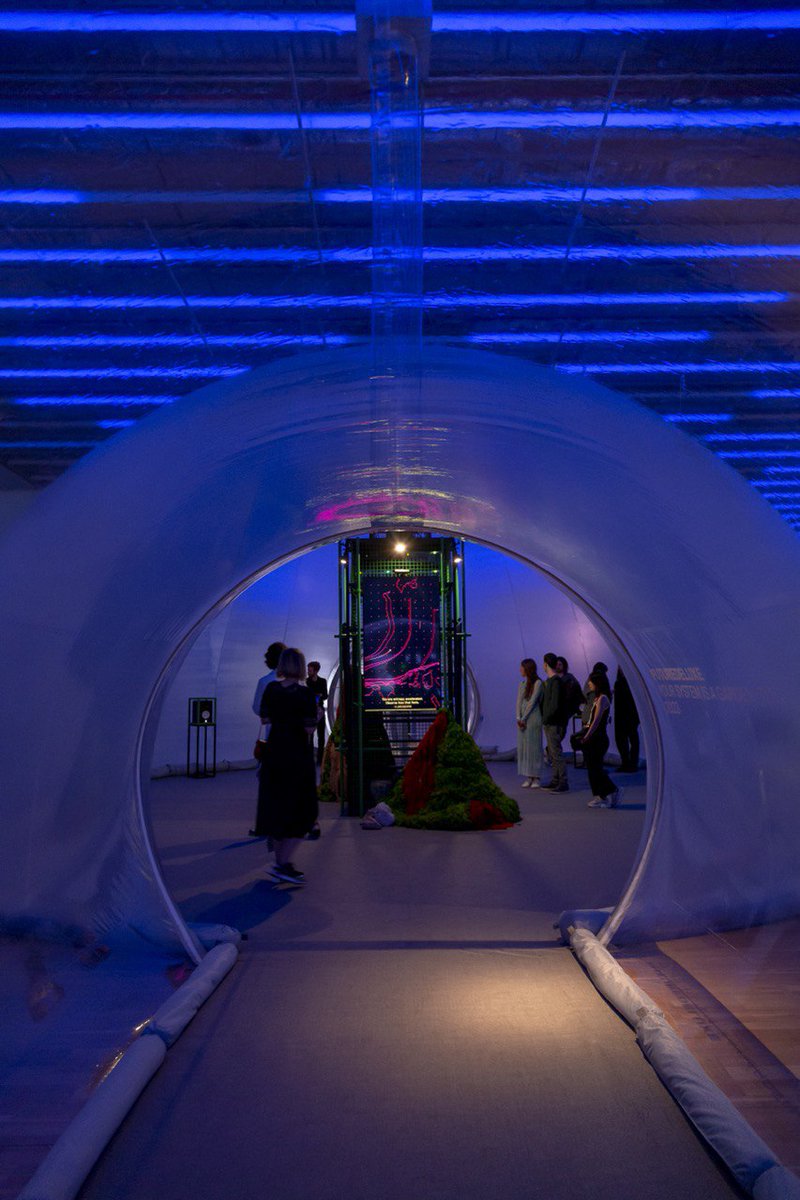 Digital Impact tweet media