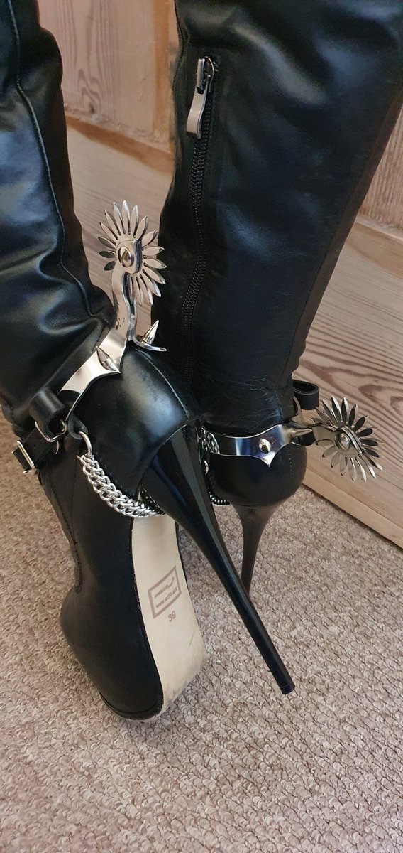 wicked_heels's tweet photo. Daring her to wear these into town today....
#SpursNation #BootsnSpurs https://t.co/6d4eWafVig