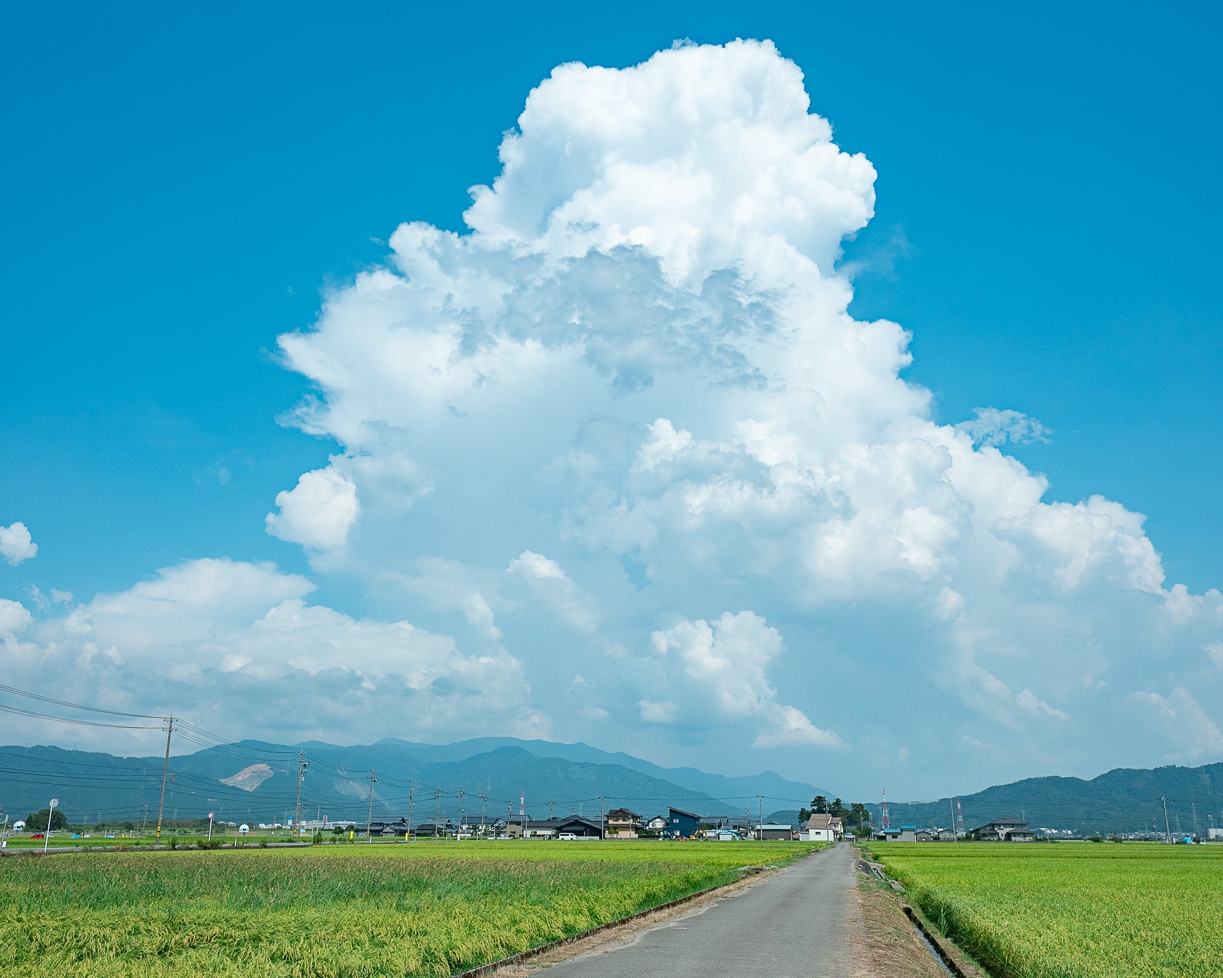 入道雲 