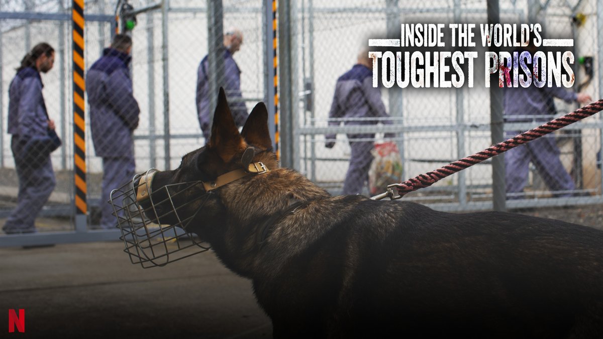 Inside The World's Toughest Prisons tweet media