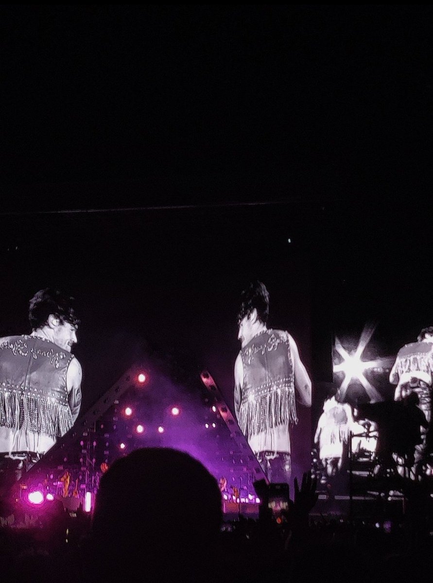 vn3s_'s tweet photo. fotos que non viches do concierto de Harry porque as fixen eu :) https://t.co/wNmfde2CtP