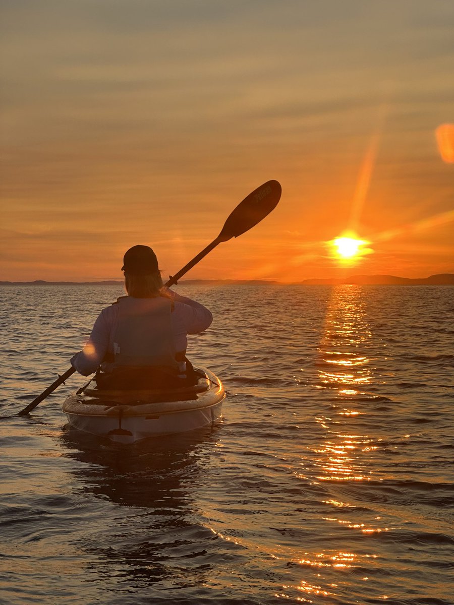 Marlayne Hardy tweet media