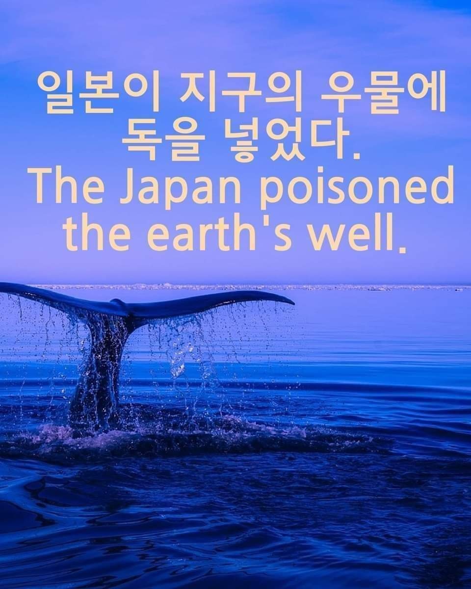 존버 강선생 (@1962mnt02oopru0) on Twitter photo 