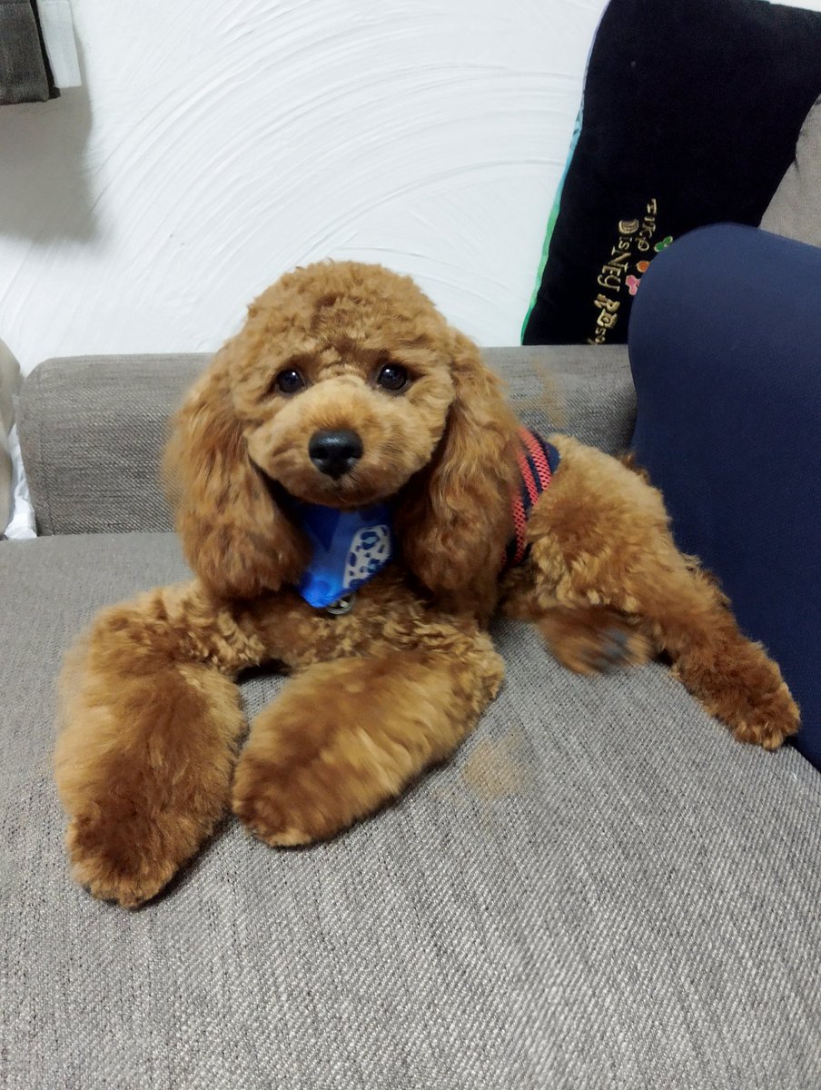y731ryu_kun's tweet photo. 目 https://t.co/BH4xEEE8Yw
