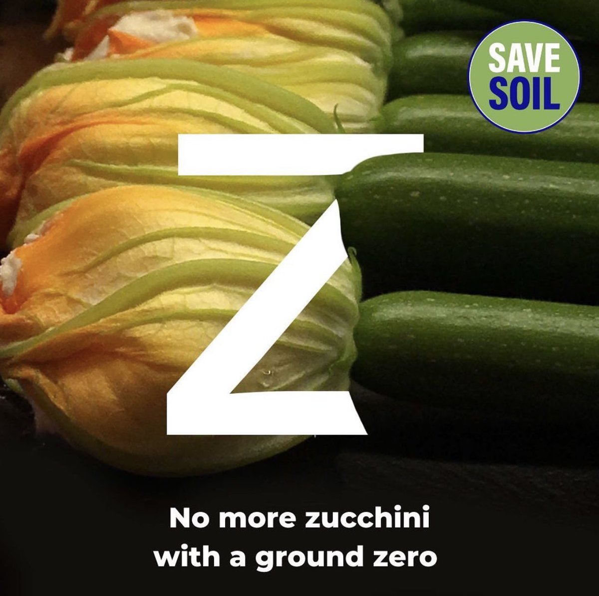 cpsavesoil's tweet photo. The Zucchini is easy to grow, easy to cook, and tastes delicious – especially in a ratatouille! But if we don’t treat our soil right, connect with it, and save it, then the Zucchini will be lost. #SaveSoil https://t.co/A6SkMENq0E