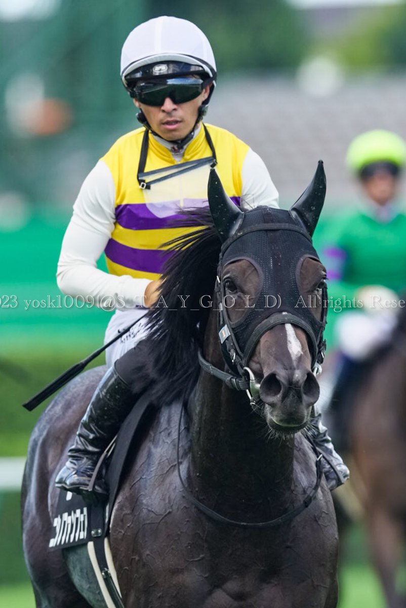 S_T_A_Y_G_O_L_D's tweet photo. 2023年8月26日
#ルスツ特別
優勝馬 #ニシノファンフェア ( #NishinoFunfair )号
父 #ホッコータルマエ
母 #ニシノメルモ
騎手 #川田将雅
調教師 #和田勇介厩舎
オーナー #西山茂行 ( @seiun0005 )さま
生産者 #本桐牧場 ( @honkirifarm )さま
#札幌競馬場
#SapporoRaceCourse https://t.co/V3zJpxx8ET