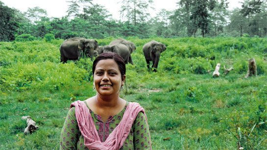 Ecology4UPSC's tweet photo. Ms. Sonali Ghosh (IFS) is to become the first woman to hold charge as the head of the 118-year-old Kaziranga National Park and Tiger Reserve.

She would take over from incumbent Jatindra Sarma on 1st September 2023.

#DidYouKnow?

The title Kaziranga adopts its name to Karbi, which is the name of a woman who ruled here in ancient time.