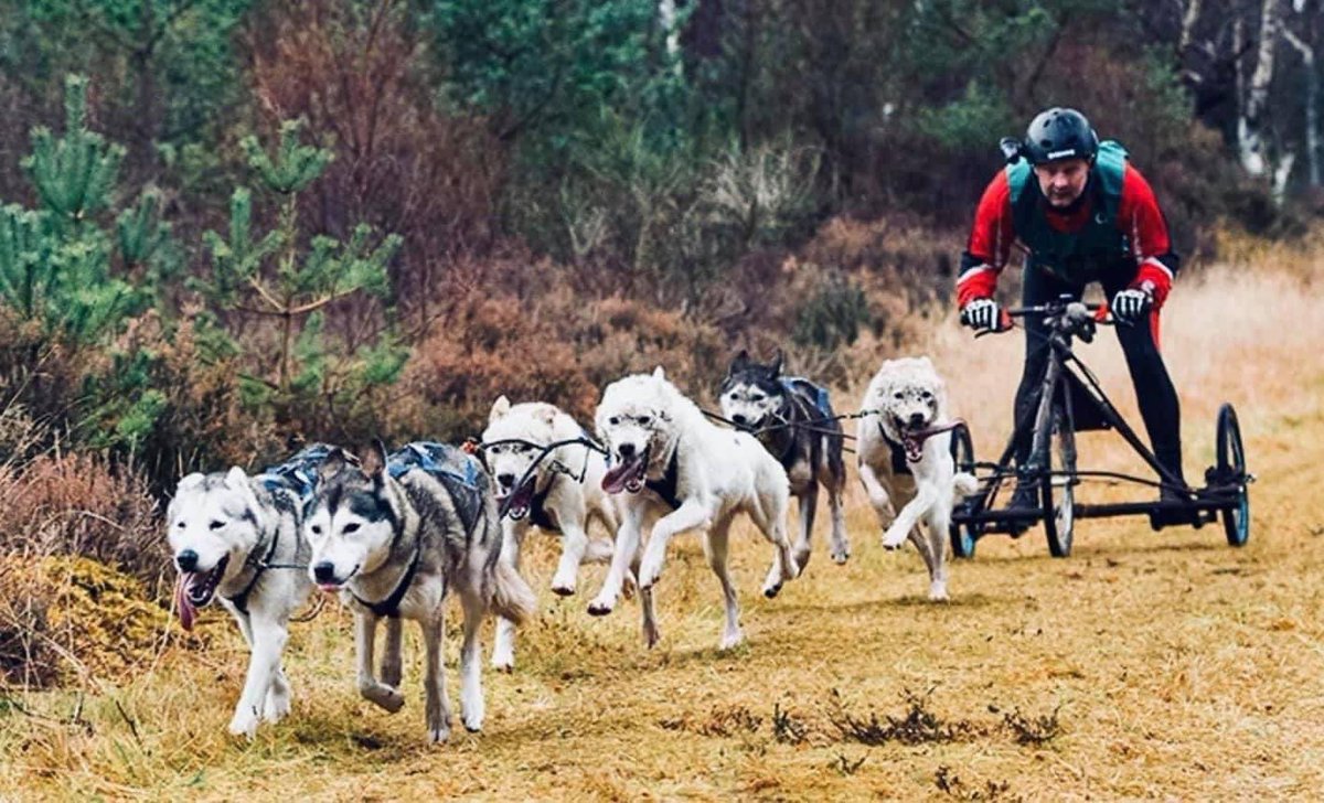 Adrian Tilsed tweet media