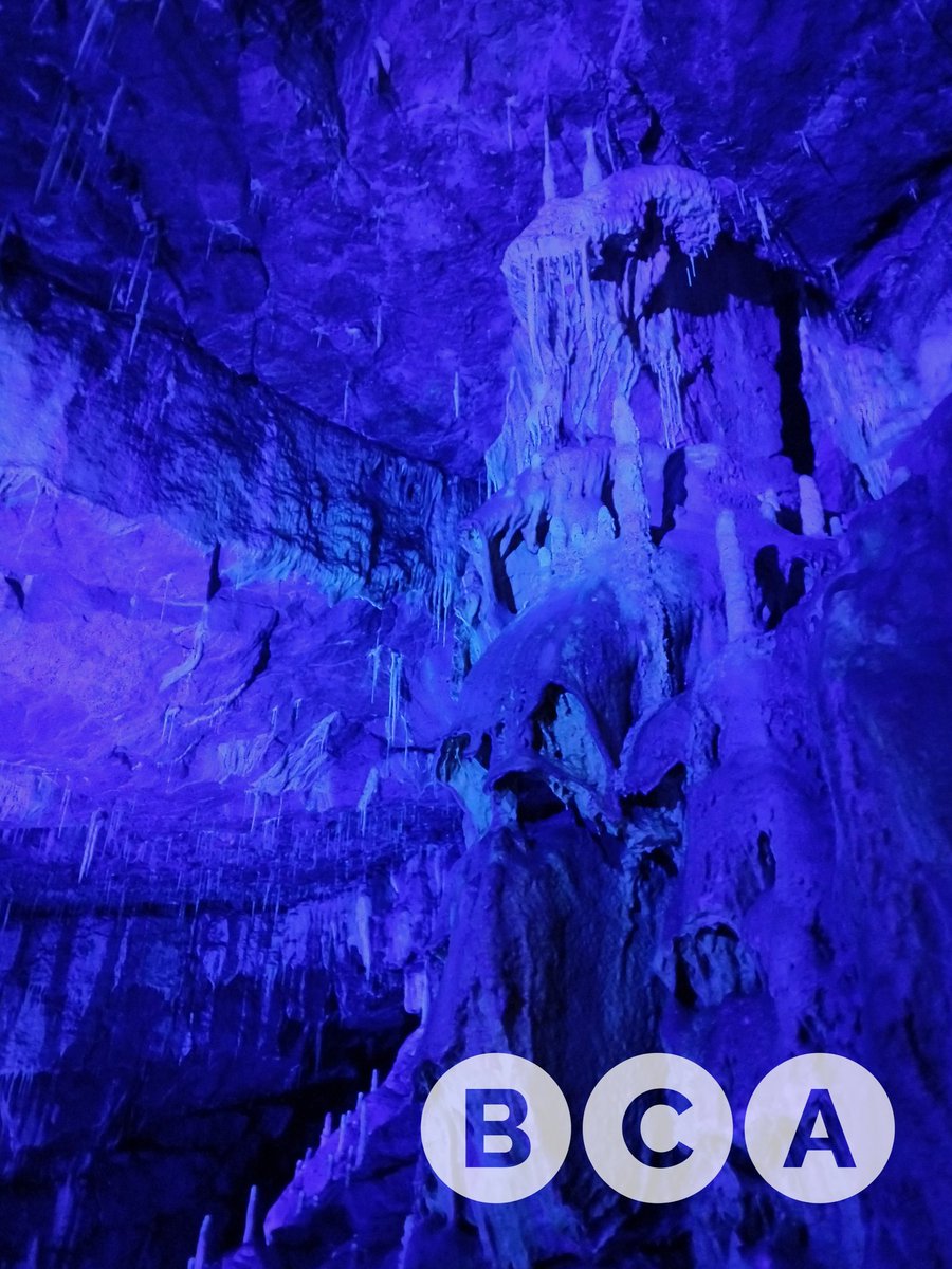Poolescavern's tweet photo. Come & see our #natural #showacve this #BankHolidayWeekend. Our Poached Egg chamber is illuminated with UV Lighting: watch our Calicite fluoress. 💜 Book today at https://t.co/iYSfiXgvH4 #dayoutwithfamily #cavetour #Buxton @BCA1967 https://t.co/Oag9Mg1QKn