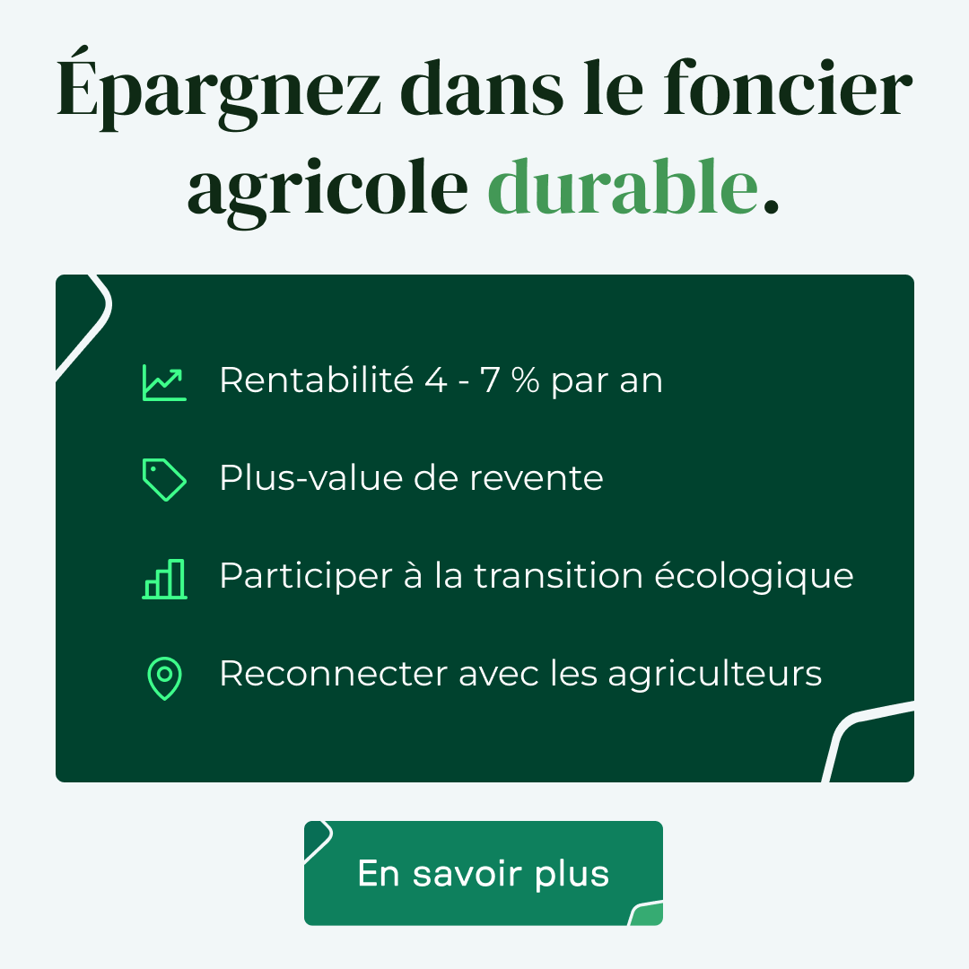 clubhectarea's tweet photo. Investissez dans les terres agricoles durables avec Hectarea et bénéficiez de revenus réguliers  ! Assurez votre avenir financier en soutenant les agriculteurs et en investissant dans les terres agricoles durables avec Hectarea. 🌾💰 Inscrivez-vous sur https://t.co/BF6w2JHaC7 https://t.co/dXvbfOT2gv