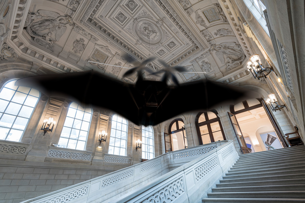ArtsetMetiers's tweet photo. #CeSoir, c'est la Nuit Internationale de la chauve-souris, organisée par la Société Française pour l'Etude et la Protection des Mammifères (#SFEPM)🦇 
Le musée en conserve un specimen très spécial. L'avez-vous vu ? Oui ? Alors, postez vos plus belles images en tagant le #musée ! https://t.co/fymlkyuU0E