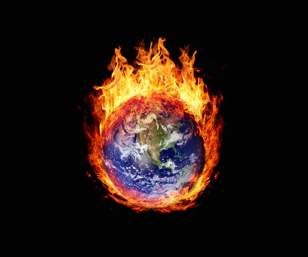 BuzzOnEarth 🌍🔰 tweet media