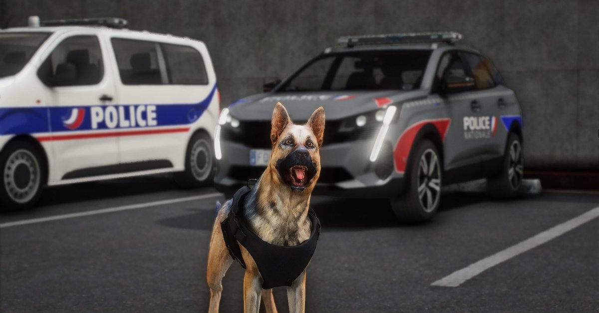 🐶[#journeemondialeduchien ]

Buxx, notre #chien policier fait la star ! Normal, c'est sa journée.

Bon weekend à tous ! 🙂

#PoliceNationale #SimulationOpérationnelle