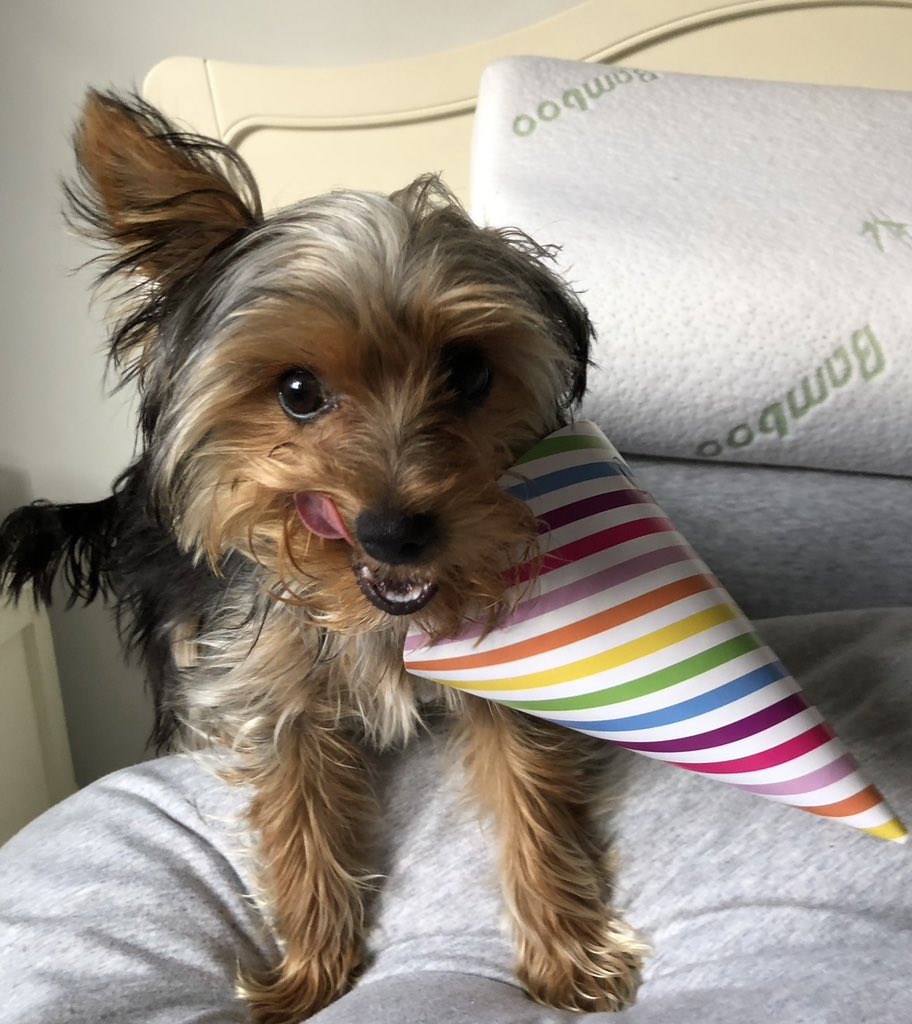 How many has she had???  #zzst