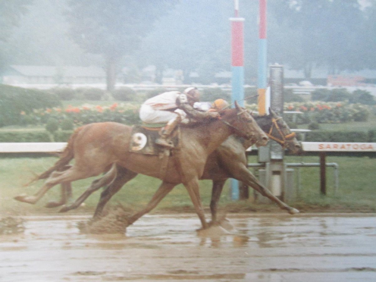 KevinGrace10's tweet image. #tb Since today is Travers Day this is the 1974 Travers win photo--Holding Pattern holds off a late-charging Little Current on a sloppy track in Saratoga. #LittleCurrent #HoldingPattern