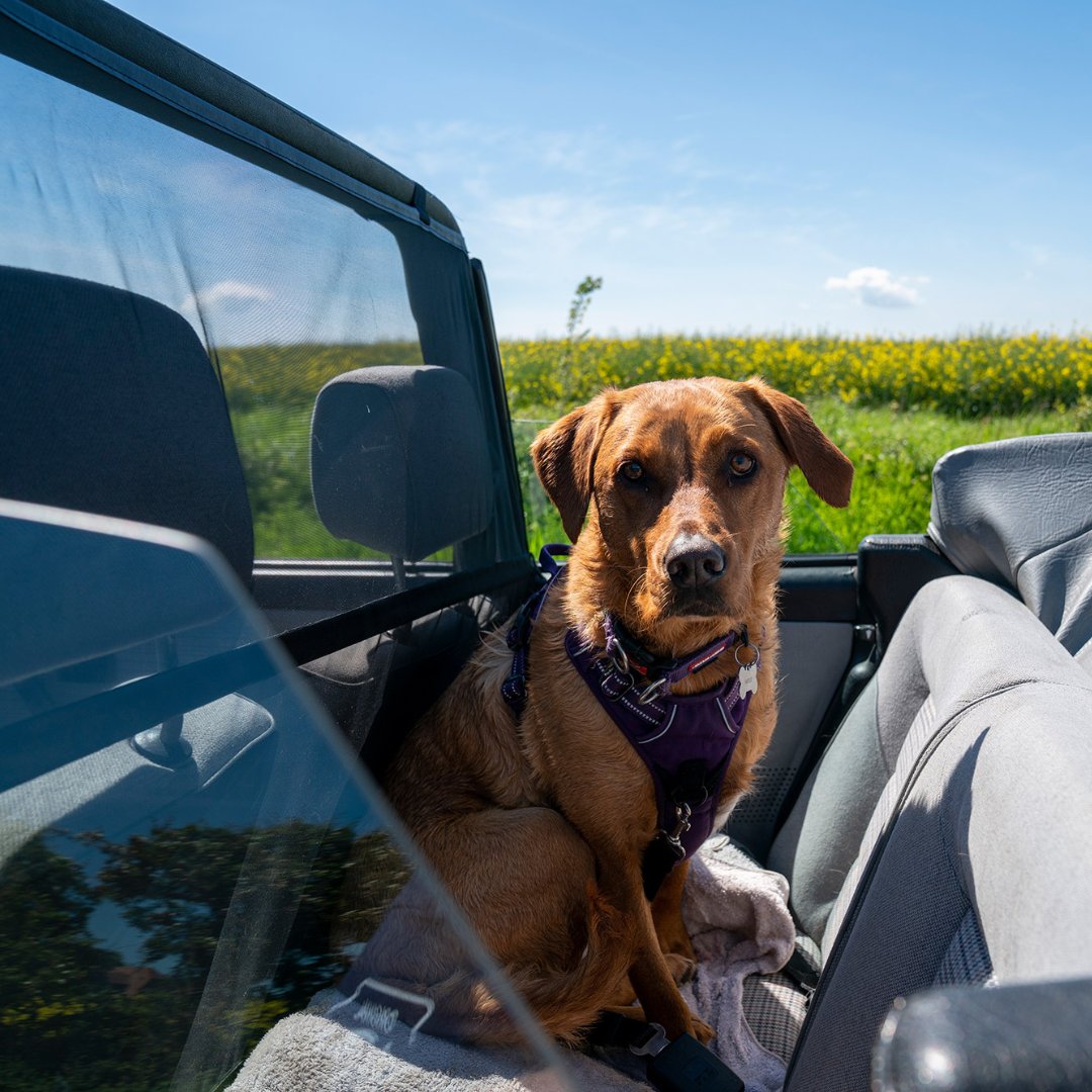 Heritage Parts Centre tweet media