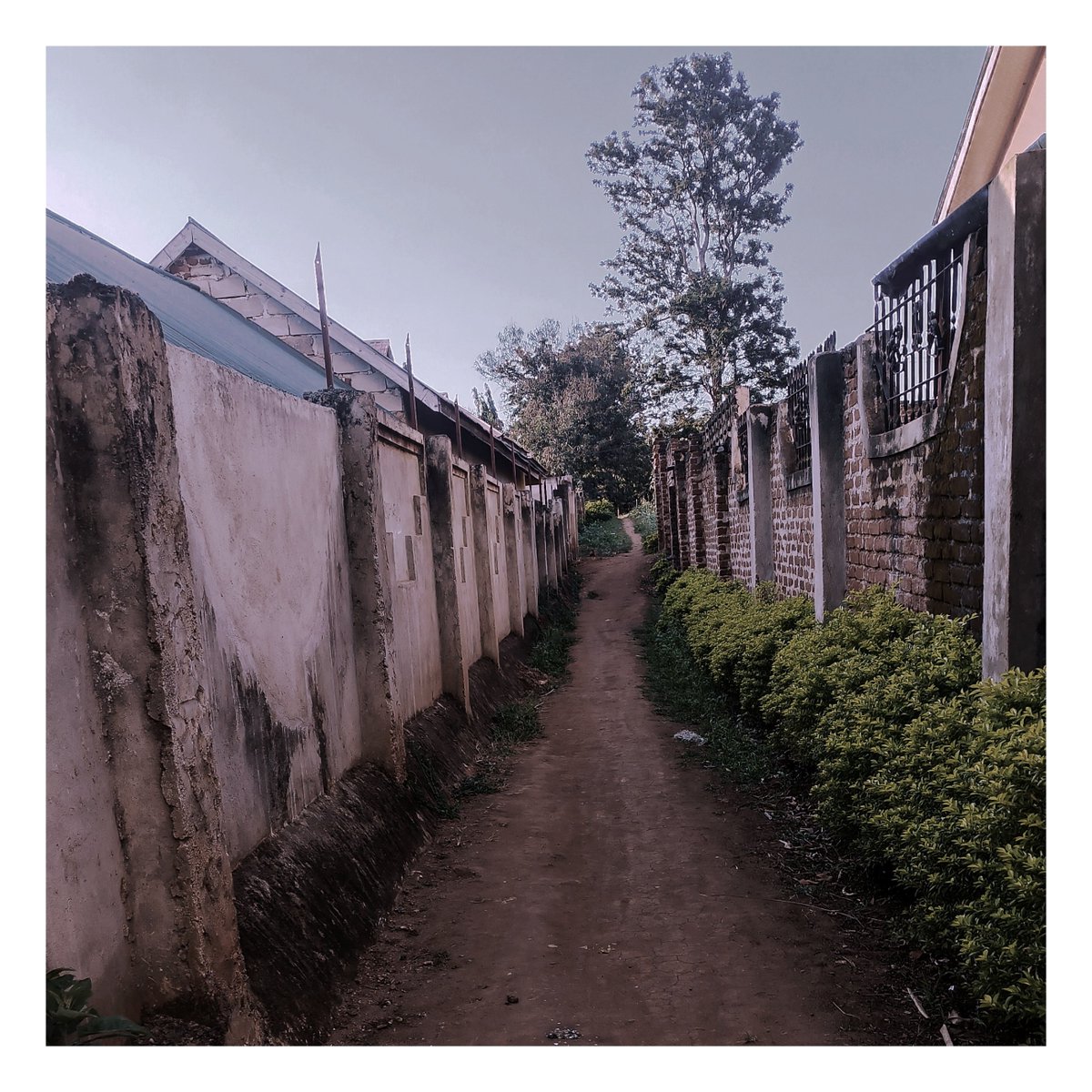OJMwandemele's tweet photo. Kula chocho

#Sky #Plant #Outdoors #Architecture #Tree #TransferPrint #tanzania #africa #street https://t.co/QmPbDz6nGN