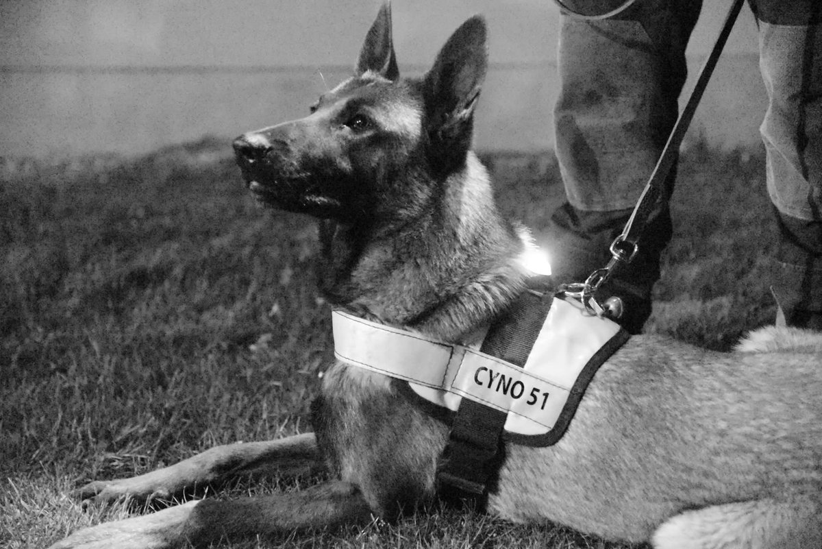 SDIS51's tweet photo. C’est la journée mondiale du #chien, le meilleur ami de l’Homme ! 🐕   

Huit #chiens font partie des effectifs du #SDIS51 👨‍🚒👩‍🚒 pour constituer l’équipe spécialisée #cynotechnique :  
 
🐕 Inox, Intox, Eros, Rim, Iross, Saïko, Rokky et Spyke. https://t.co/DGCyRIC9mv