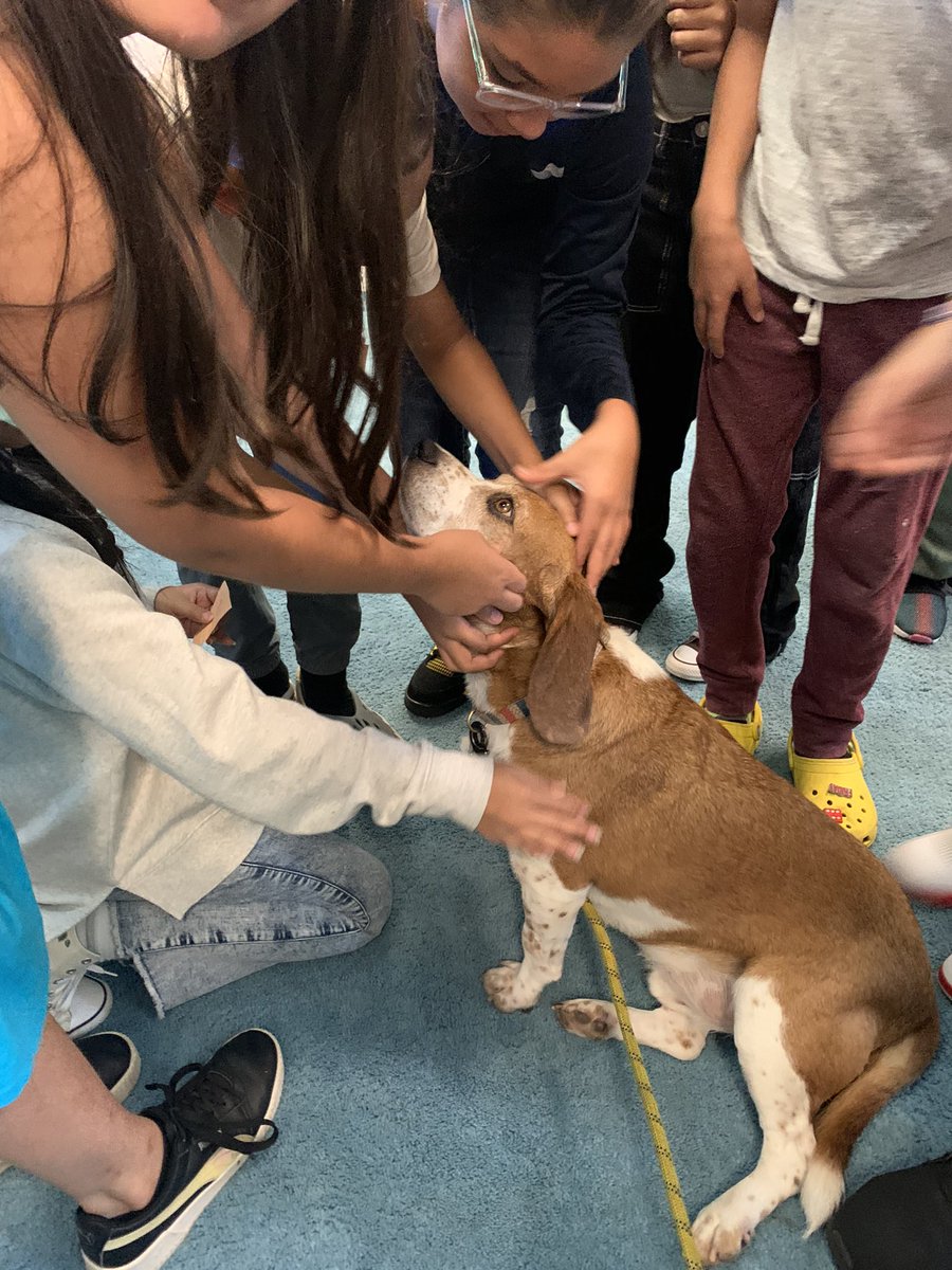 Heather Meek tweet media