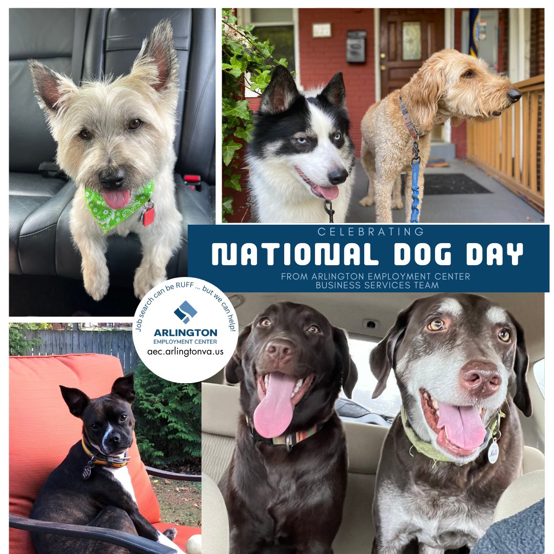ArlEmploymentCt's tweet photo. Celebrating National Dog Day 🐶 🦴 with a shout out from our most loyal companions. Arlington Employment Center's Business Services Team is here for @arlingtonva! Paws up to our Arlington workforce and biz community #arlingtonva #nationaldogday #allinarlington  @workcouncil https://t.co/lsJ2mwLaAy