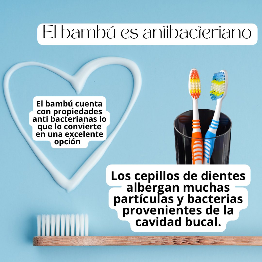 AquariusCrypto1's tweet photo. Sabías que los cepillos de bambú (los cuales han tenido un boom en la actualidad) no solo son maravillosos por sus beneficios ecológicos sino también por ser anti bacterianos lo cual ofrece beneficios en la higiene bucal. 

#cepillosdebambú https://t.co/qwEdd3Zw4U