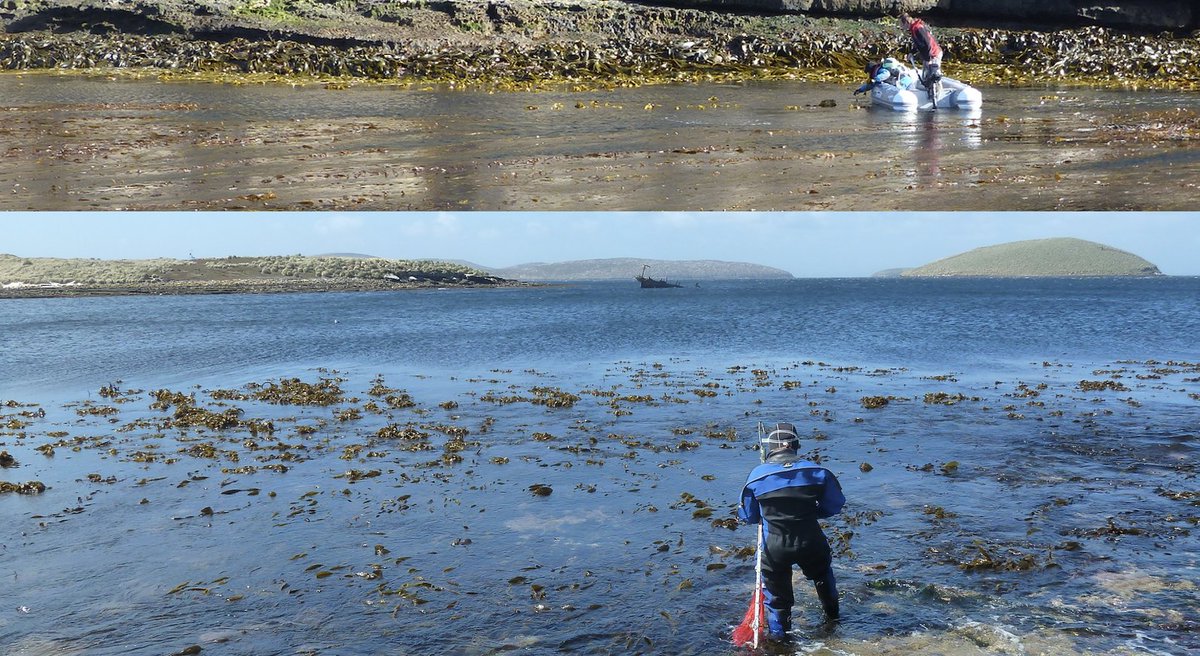 Ester Serrao tweet media