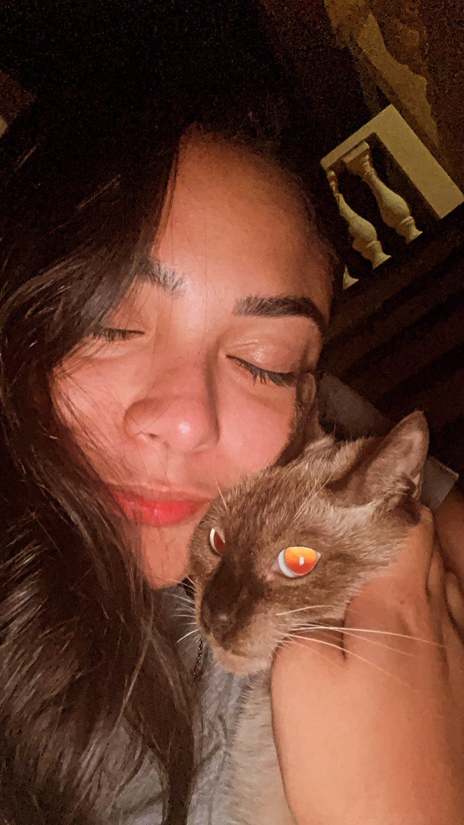 Ferruizlima's tweet photo. Ayer me quedé hablando con la canela antes de llegar a casa y me dio paz. https://t.co/VvL3eaVwFx
