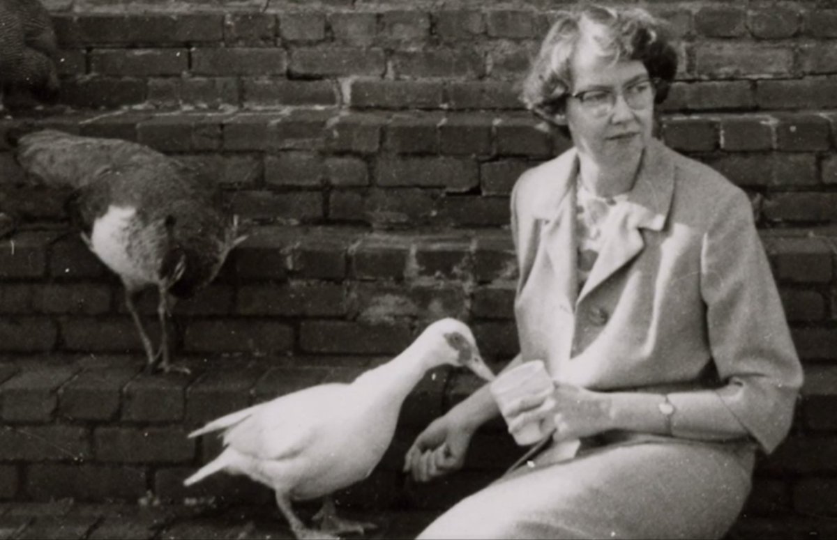 MagnoliasMag's tweet photo. “Whenever I'm asked why Southern writers particularly have a penchant for writing about freaks, I say it is because we are still able to recognize one.”

—Flannery O’Connor https://t.co/1vxX6O9B52