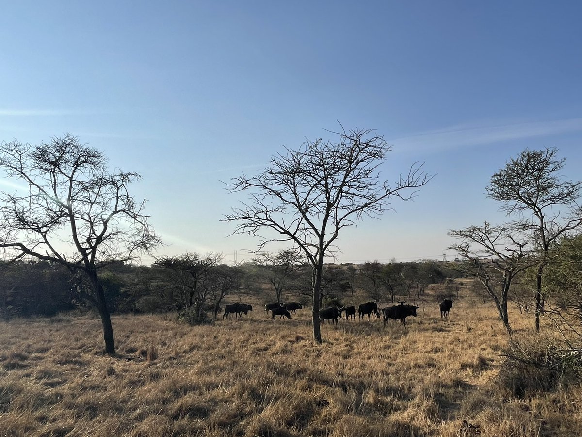 Chris Underwood tweet media