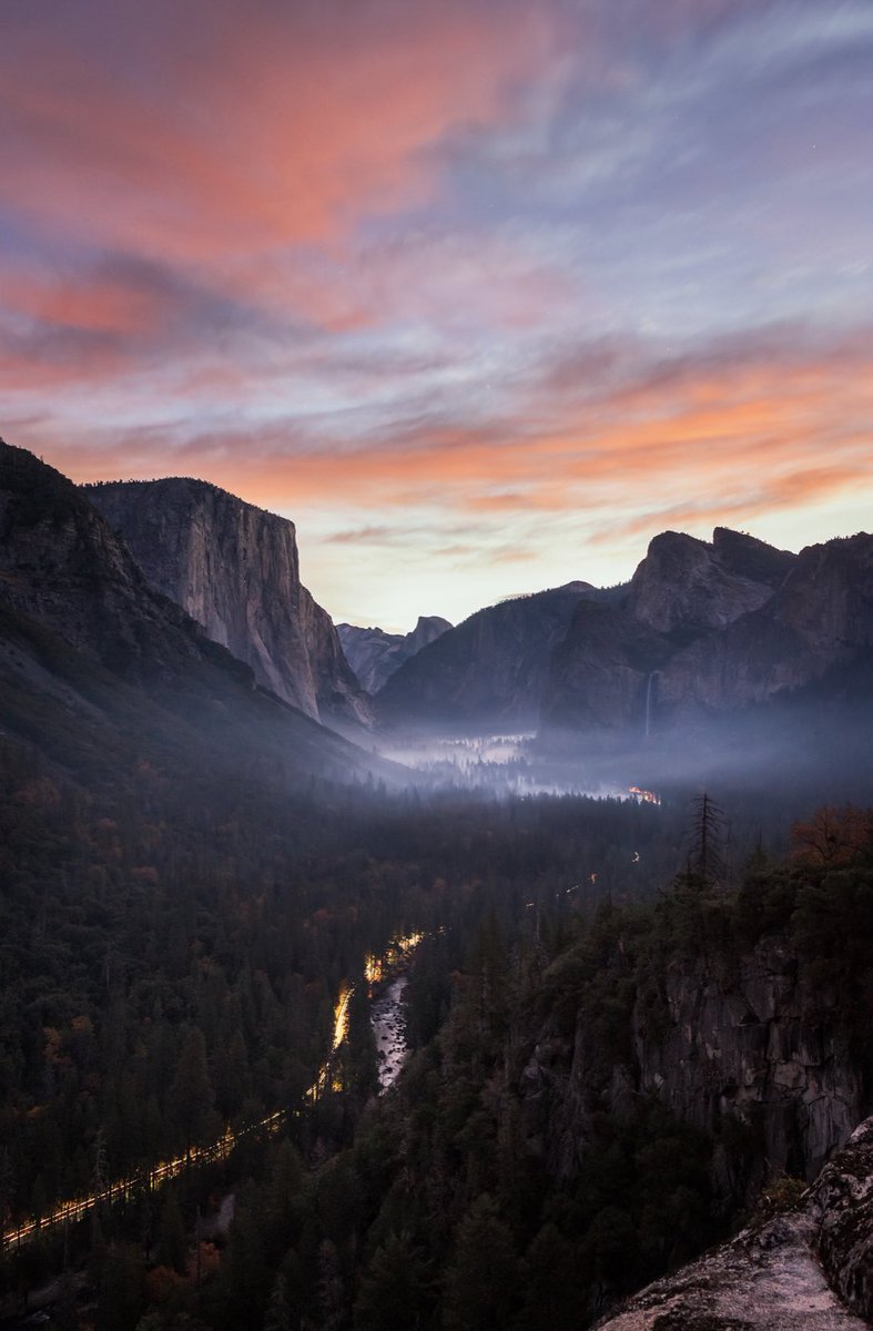 Brandon Yoshizawa tweet media