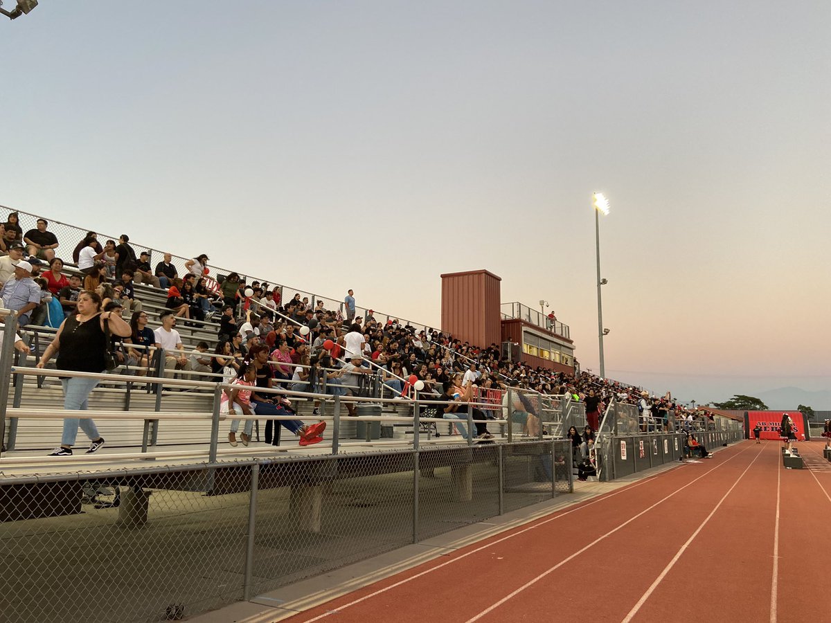 Peter Daniels tweet media