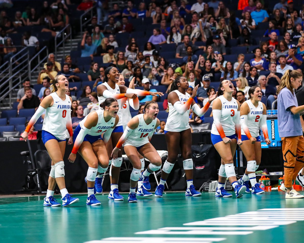 Gators Volleyball tweet media