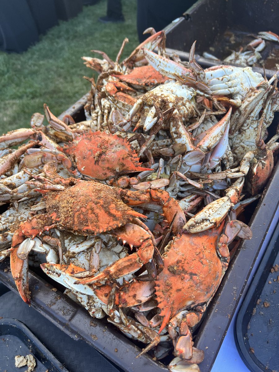 There's no such thing as too many crabs! #crabfeast 🦀