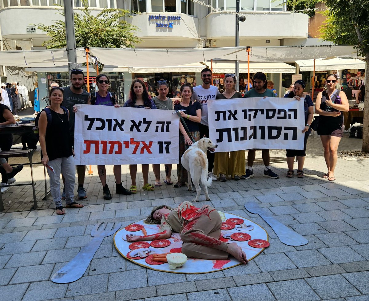 hofechbaalehaim's tweet photo. צלחת ענק עם סלט ו... בשר אדם?! 
העוברים והשבים הרבים במרכז ראשון לציון לא יכלו שלא לעצור ליד המיצג שקיימנו לרגל היום הבין-לאומי למאבק בסוגנות: מאבק באפליית בעלי חיים על סמך סוג ביולוגי, אפליה שהיא המקור לכל האלימות כלפי בע"ח.
#הפסיקו_את_הסוגנות https://t.co/ByPDIBYmnJ