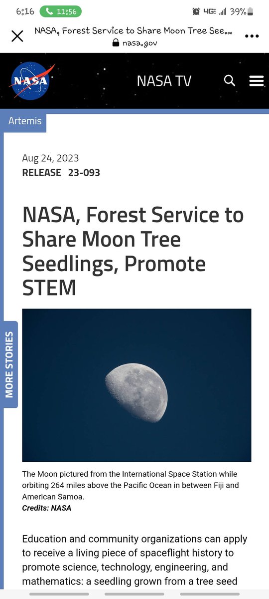 rosenelsonwest's tweet image. Seedlings 🌱 for our school community! #myproject