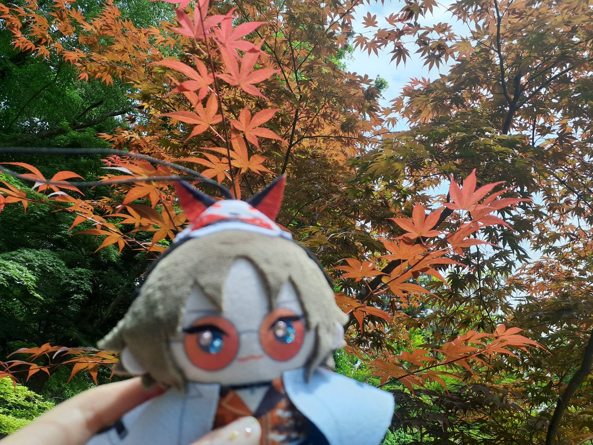 そういえばミスタを好きになったことがきっかけで初めてこういうオタ活もしたんだよ～😢💐
#MystaRias
#MystaRainbowFlower