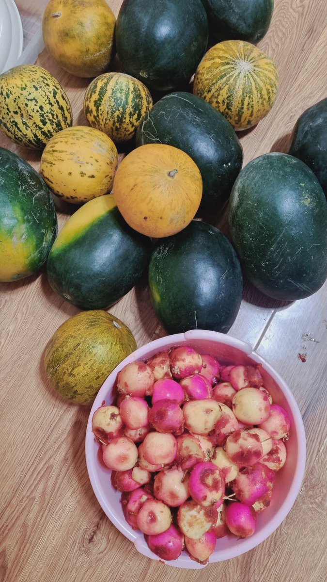 Нутгийн амт