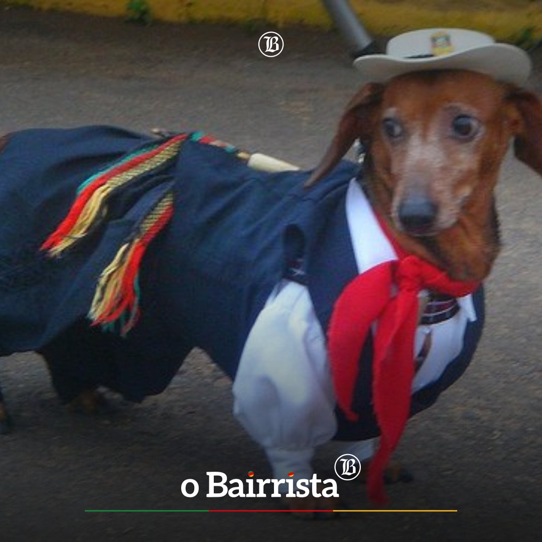 O Bairrista 🧉 tweet media