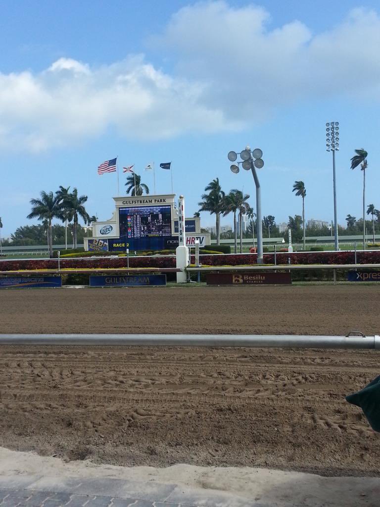 Hoy estaremos dando las marcas totalmente gratis para el hipódromo de Gulfstream y Del Mar Racetrack solo debes enviar un DM y le estaremos enviando la información!! #hipismo #gulfstream #delmar