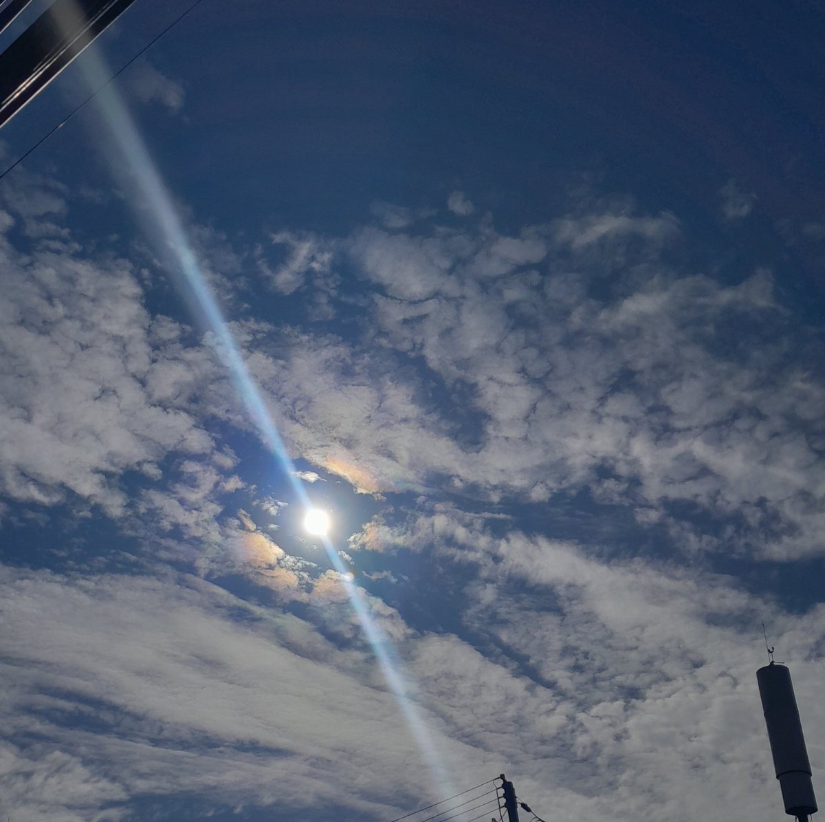 DavissVest's tweet photo. the sky
#sun
#clouds
#suncircle https://t.co/AZZhKfxhzi