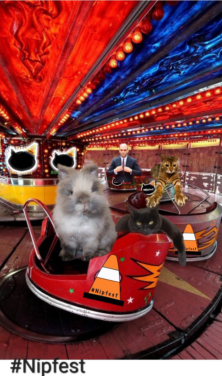 SmiLLa ๐ต๐ธ (@i_smilla) on Twitter photo <a href="/kaletherabbit/">Kale the rabbit ๐ณ๏ธโ๐๐ณ๏ธโโง๏ธ</a> Bigge bruvvEr!!!! JusT inn thymE too hit thA waLtzErs #Nipfest2023 <a href="/kaletherabbit/">Kale the rabbit ๐ณ๏ธโ๐๐ณ๏ธโโง๏ธ</a> Bigge bruvvEr!!!! JusT inn thymE too hit thA waLtzErs #Nipfest2023