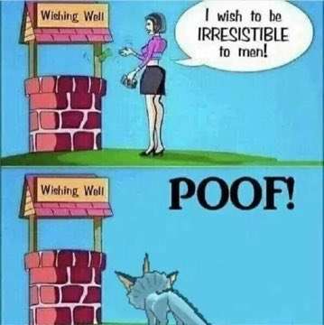 THECAT23IAN's tweet photo. @yooichiiii This meme represents you https://t.co/hNcYkXrOw8